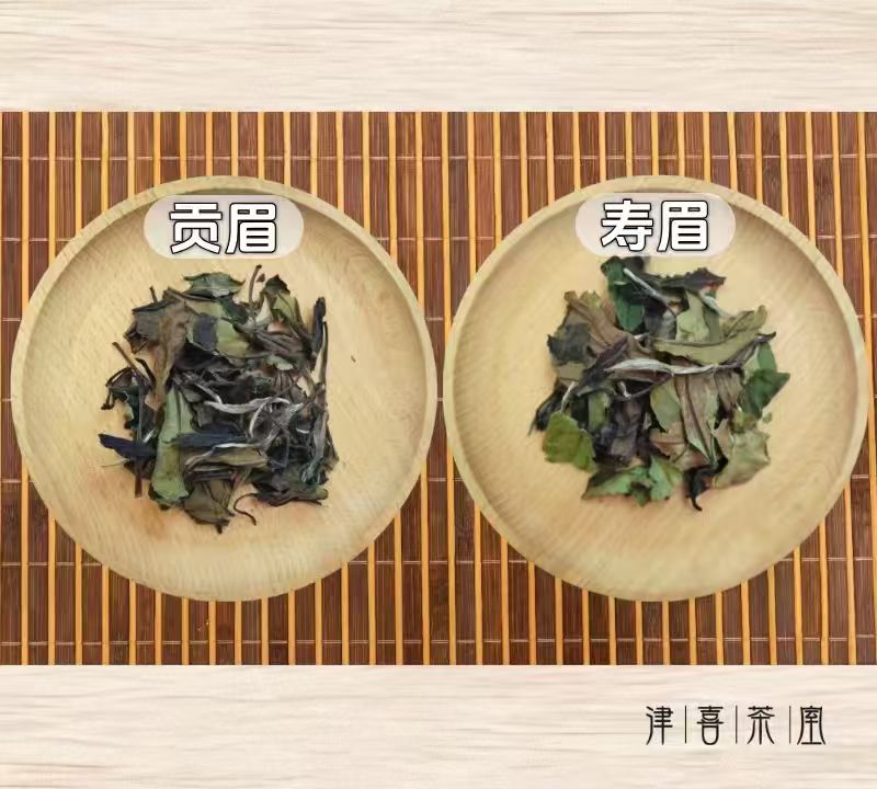 贡眉与寿眉对比图片